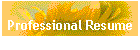 Professional Resume